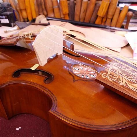 Viola da Gamba: History, Characteristics and Influence